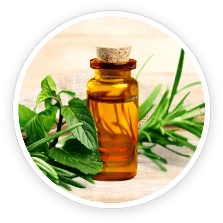Tea Tree Oil: 